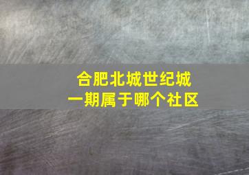 合肥北城世纪城一期属于哪个社区