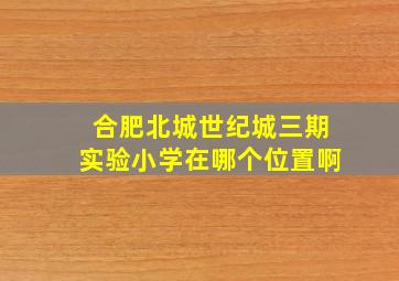 合肥北城世纪城三期实验小学在哪个位置啊