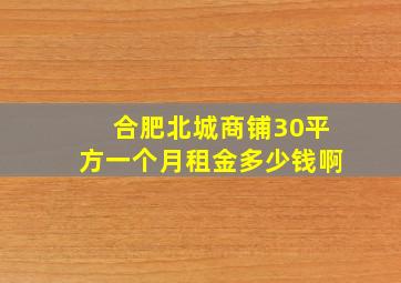 合肥北城商铺30平方一个月租金多少钱啊