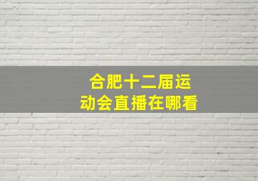 合肥十二届运动会直播在哪看