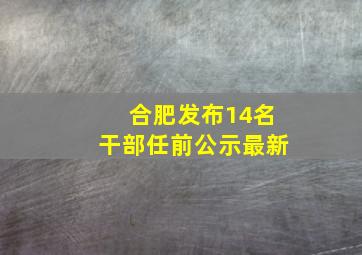 合肥发布14名干部任前公示最新