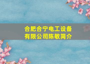 合肥合宁电工设备有限公司陈敏简介