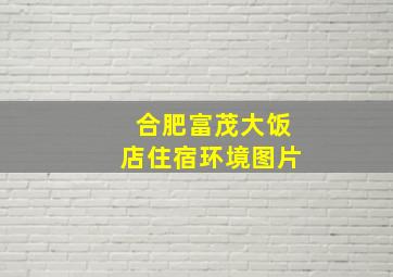 合肥富茂大饭店住宿环境图片