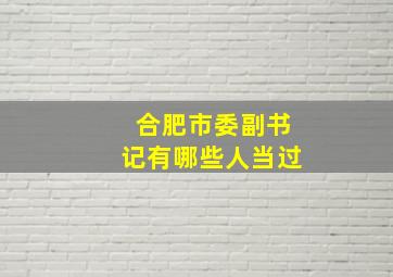 合肥市委副书记有哪些人当过