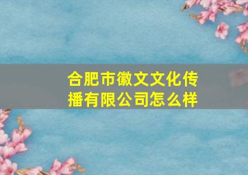 合肥市徽文文化传播有限公司怎么样