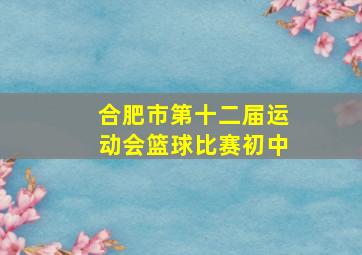 合肥市第十二届运动会篮球比赛初中