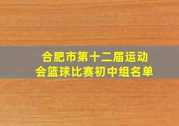 合肥市第十二届运动会篮球比赛初中组名单