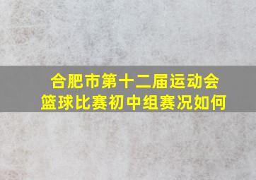 合肥市第十二届运动会篮球比赛初中组赛况如何