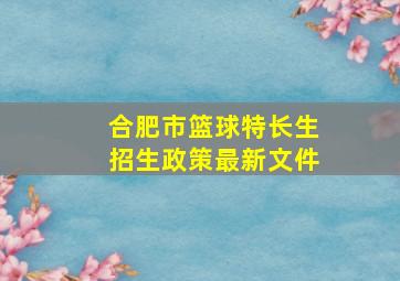 合肥市篮球特长生招生政策最新文件