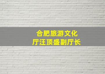 合肥旅游文化厅汪顶盛副厅长