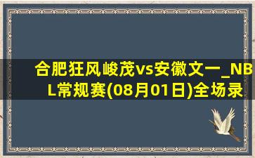 合肥狂风峻茂vs安徽文一_NBL常规赛(08月01日)全场录像