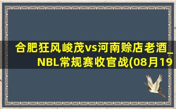 合肥狂风峻茂vs河南赊店老酒_NBL常规赛收官战(08月19日)全场录像