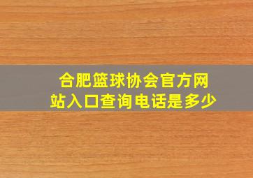 合肥篮球协会官方网站入口查询电话是多少