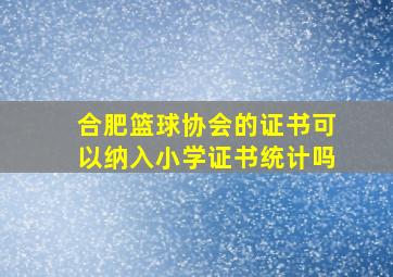 合肥篮球协会的证书可以纳入小学证书统计吗