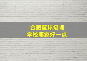 合肥篮球培训学校哪家好一点