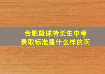 合肥篮球特长生中考录取标准是什么样的啊