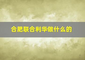 合肥联合利华做什么的