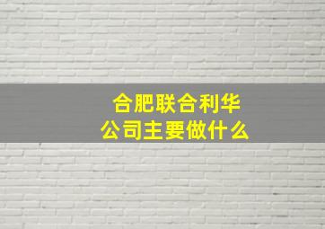 合肥联合利华公司主要做什么