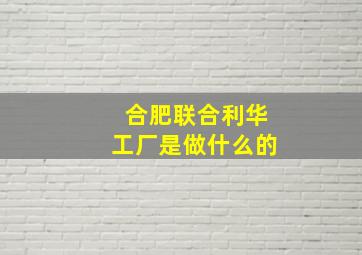 合肥联合利华工厂是做什么的