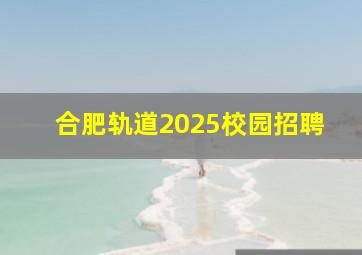 合肥轨道2025校园招聘