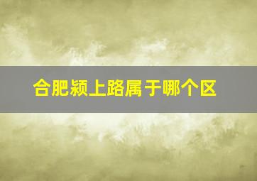 合肥颍上路属于哪个区