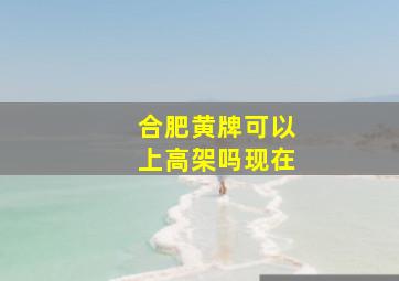 合肥黄牌可以上高架吗现在