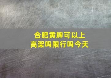 合肥黄牌可以上高架吗限行吗今天