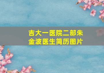 吉大一医院二部朱金波医生简历图片