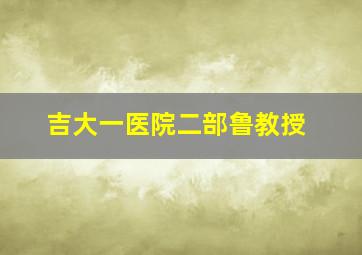 吉大一医院二部鲁教授