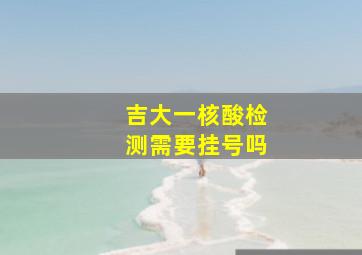 吉大一核酸检测需要挂号吗