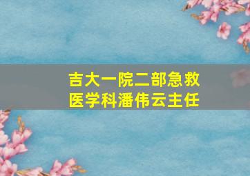 吉大一院二部急救医学科潘伟云主任