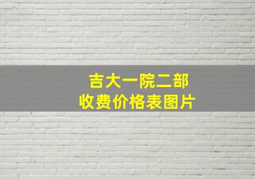 吉大一院二部收费价格表图片