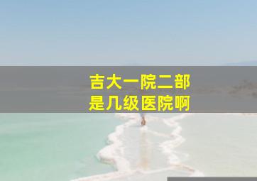 吉大一院二部是几级医院啊