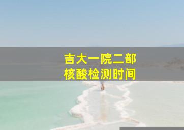 吉大一院二部核酸检测时间