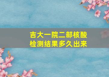 吉大一院二部核酸检测结果多久出来