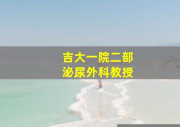 吉大一院二部泌尿外科教授