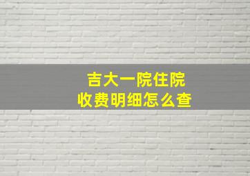 吉大一院住院收费明细怎么查