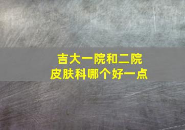 吉大一院和二院皮肤科哪个好一点