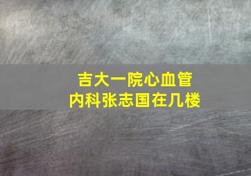 吉大一院心血管内科张志国在几楼