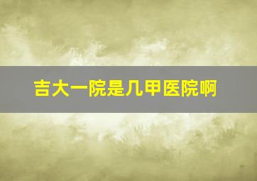 吉大一院是几甲医院啊