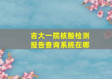 吉大一院核酸检测报告查询系统在哪