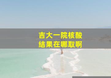 吉大一院核酸结果在哪取啊