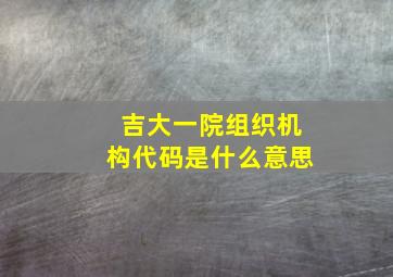 吉大一院组织机构代码是什么意思