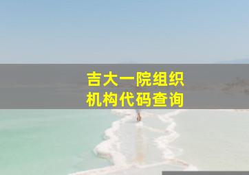 吉大一院组织机构代码查询