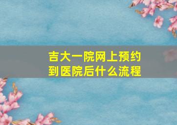 吉大一院网上预约到医院后什么流程