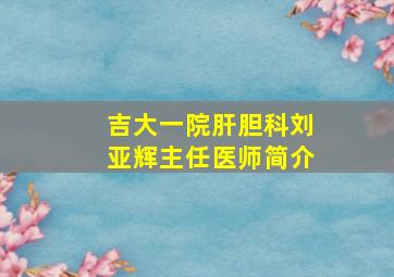 吉大一院肝胆科刘亚辉主任医师简介