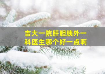 吉大一院肝胆胰外一科医生哪个好一点啊