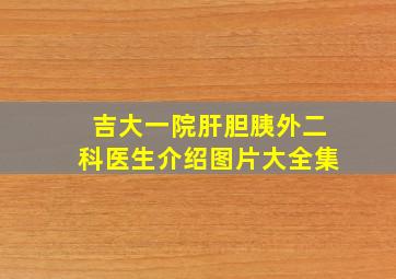 吉大一院肝胆胰外二科医生介绍图片大全集