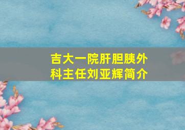 吉大一院肝胆胰外科主任刘亚辉简介