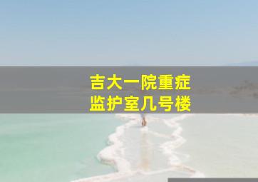 吉大一院重症监护室几号楼